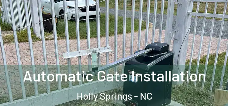  Automatic Gate Installation Holly Springs - NC