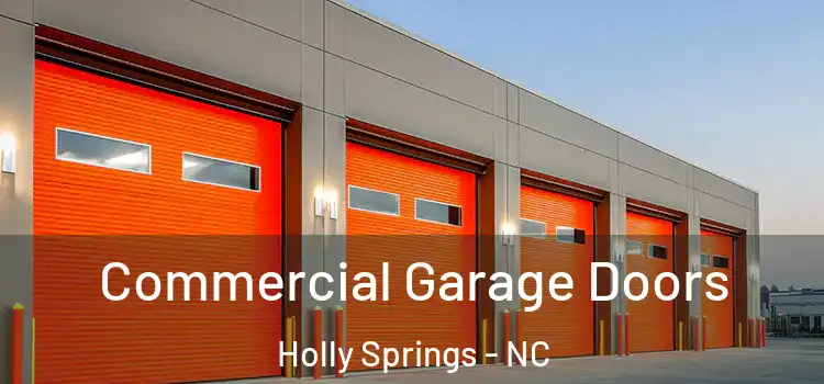 Commercial Garage Doors Holly Springs - NC