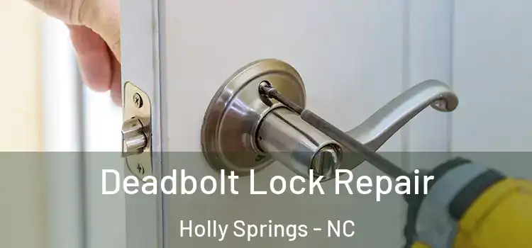  Deadbolt Lock Repair Holly Springs - NC