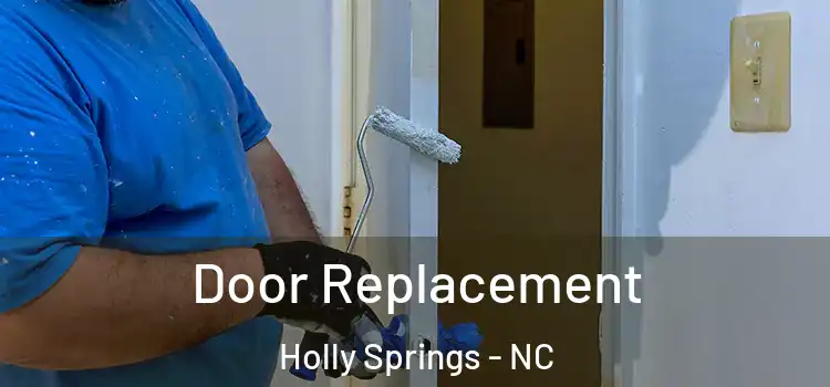  Door Replacement Holly Springs - NC