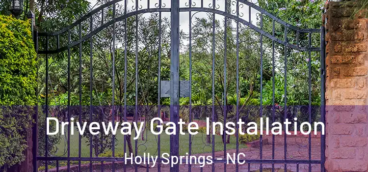  Driveway Gate Installation Holly Springs - NC