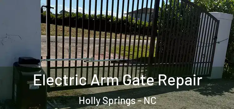  Electric Arm Gate Repair Holly Springs - NC