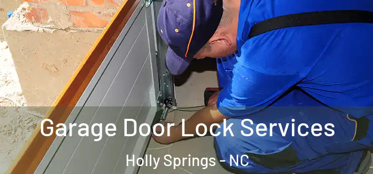  Garage Door Lock Services Holly Springs - NC