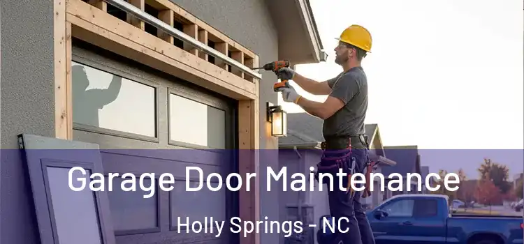 Garage Door Maintenance Holly Springs - NC