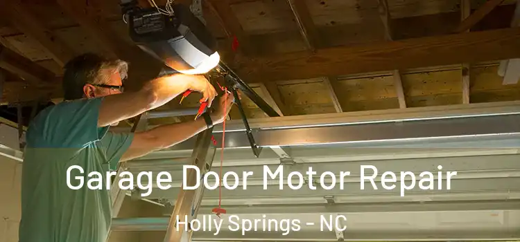  Garage Door Motor Repair Holly Springs - NC