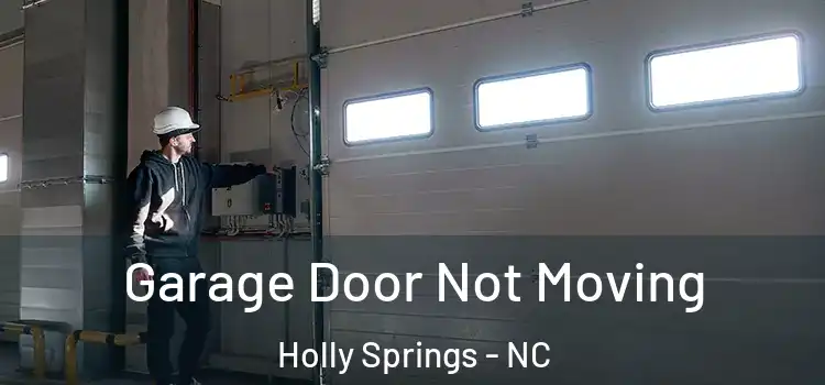  Garage Door Not Moving Holly Springs - NC