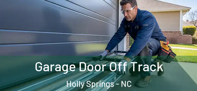  Garage Door Off Track Holly Springs - NC