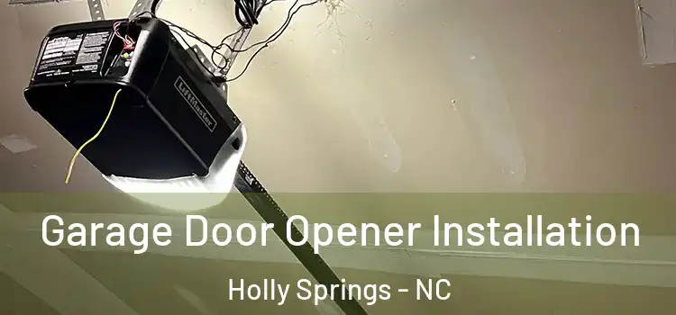  Garage Door Opener Installation Holly Springs - NC