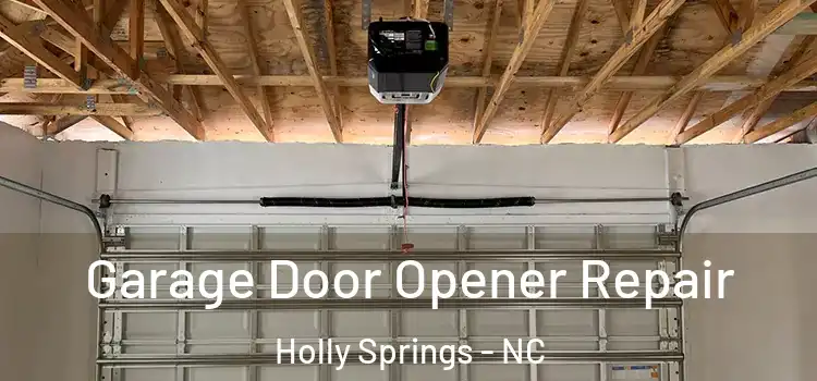  Garage Door Opener Repair Holly Springs - NC