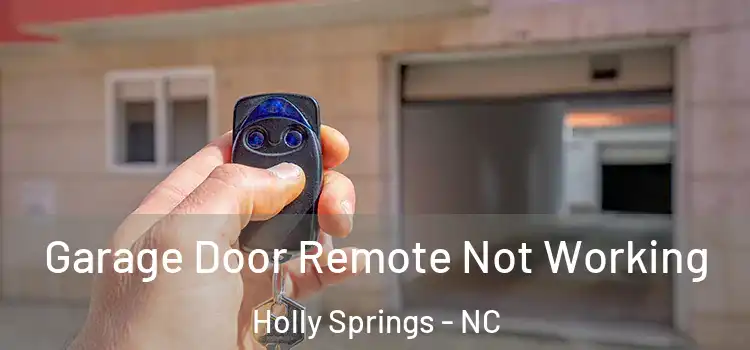  Garage Door Remote Not Working Holly Springs - NC