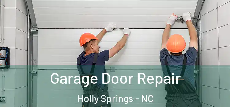  Garage Door Repair Holly Springs - NC