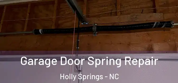  Garage Door Spring Repair Holly Springs - NC