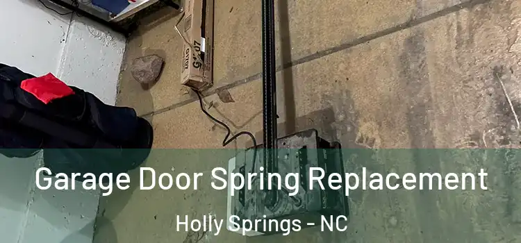  Garage Door Spring Replacement Holly Springs - NC