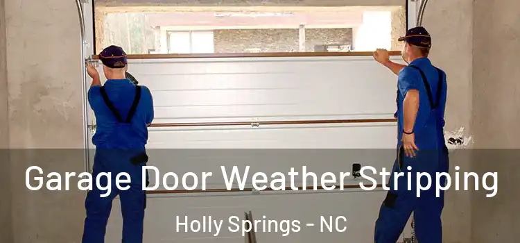  Garage Door Weather Stripping Holly Springs - NC