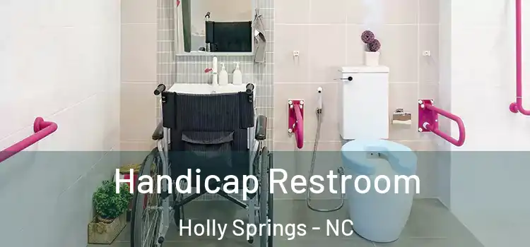  Handicap Restroom Holly Springs - NC