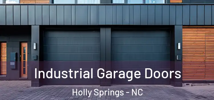  Industrial Garage Doors Holly Springs - NC