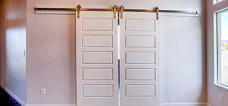 Glass Barn Door with Installation Hardware Kit Holly Springs