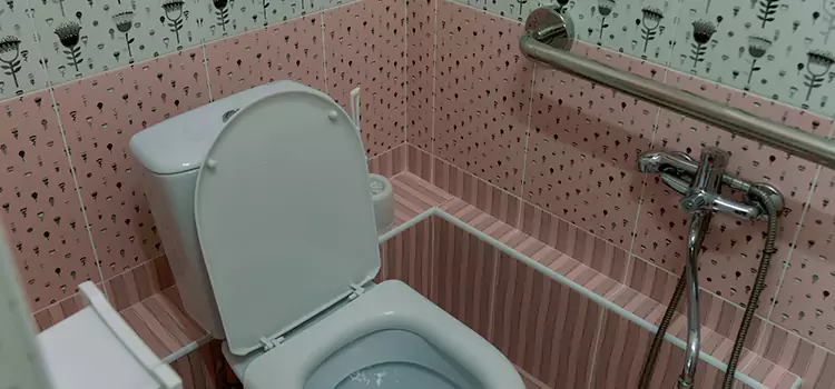 Meeting Diverse Needs With Accessible Restroom Solutions in Holly Springs, NC