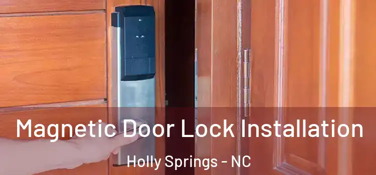 Magnetic Door Lock Installation Holly Springs - NC