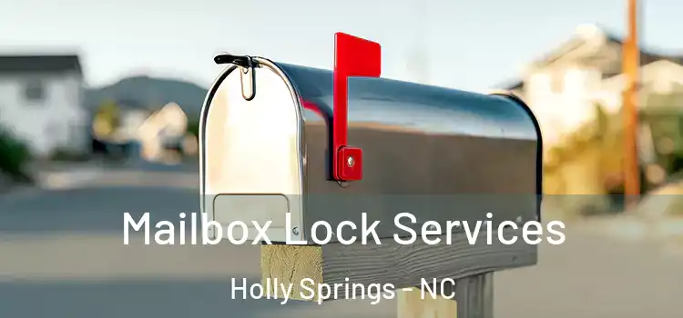  Mailbox Lock Services Holly Springs - NC