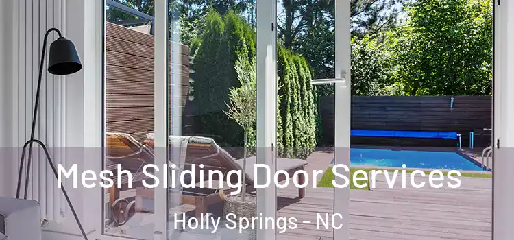  Mesh Sliding Door Services Holly Springs - NC