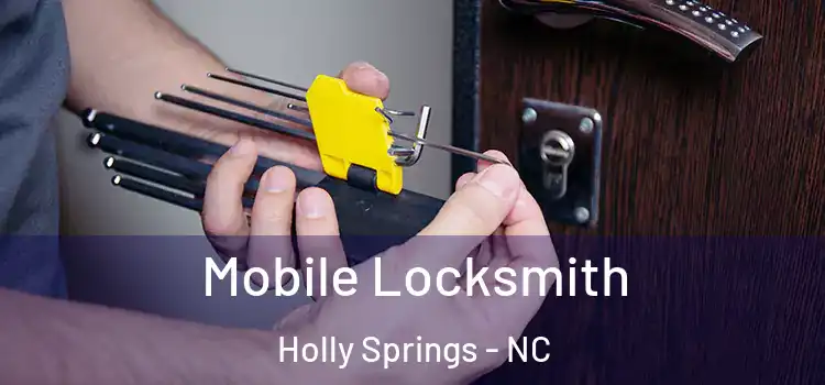  Mobile Locksmith Holly Springs - NC