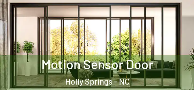  Motion Sensor Door Holly Springs - NC