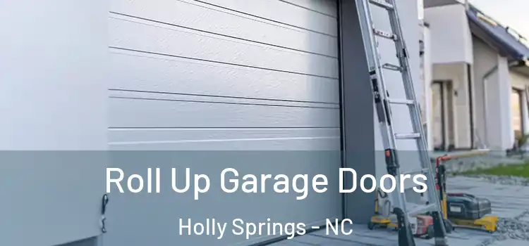  Roll Up Garage Doors Holly Springs - NC