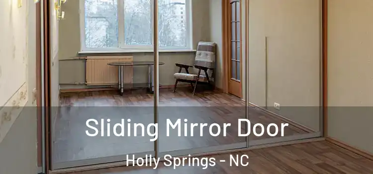  Sliding Mirror Door Holly Springs - NC