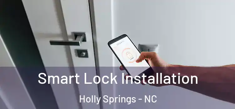  Smart Lock Installation Holly Springs - NC